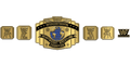 Custom Championship Belt With Personalized Design