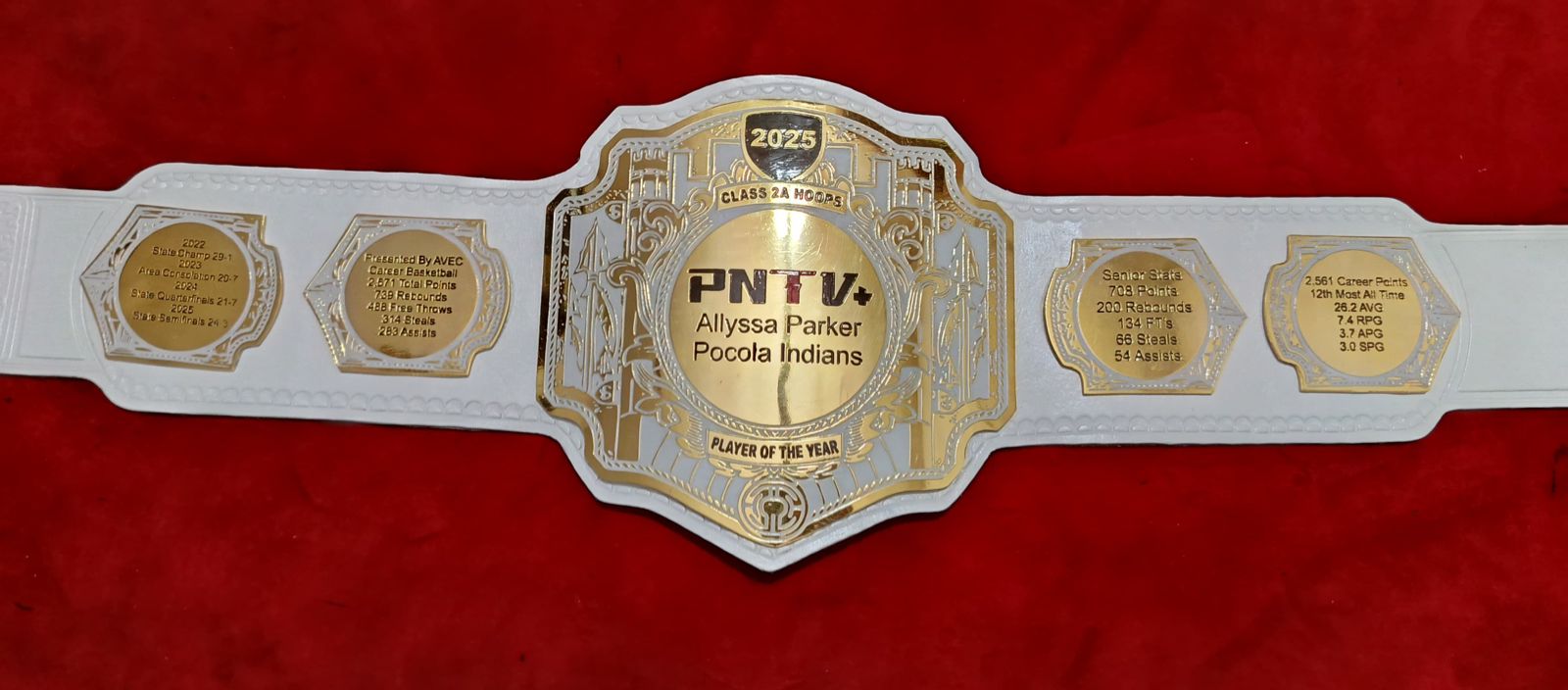 Custom Championship Title Belts (4mm ZINC) - Customize Wrestling Belts Wrestling Belt Strapposhleathers - 14b7Design 10GoldenCustom Championship Title Belts (4mm ZINC)Wrestling Belt Strapposhleathers - 14b7