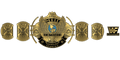 Custom Championship Belt With Personalized Design