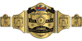 Custom Championship Belt With Personalized Design