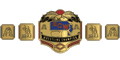 Custom Championship Belt With Personalized Design