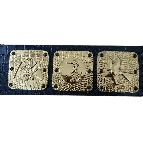 NWA Americas  Heavyweight Wrestling Champion Belt