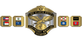 Custom Championship Belt With Personalized Design ZBCB-81