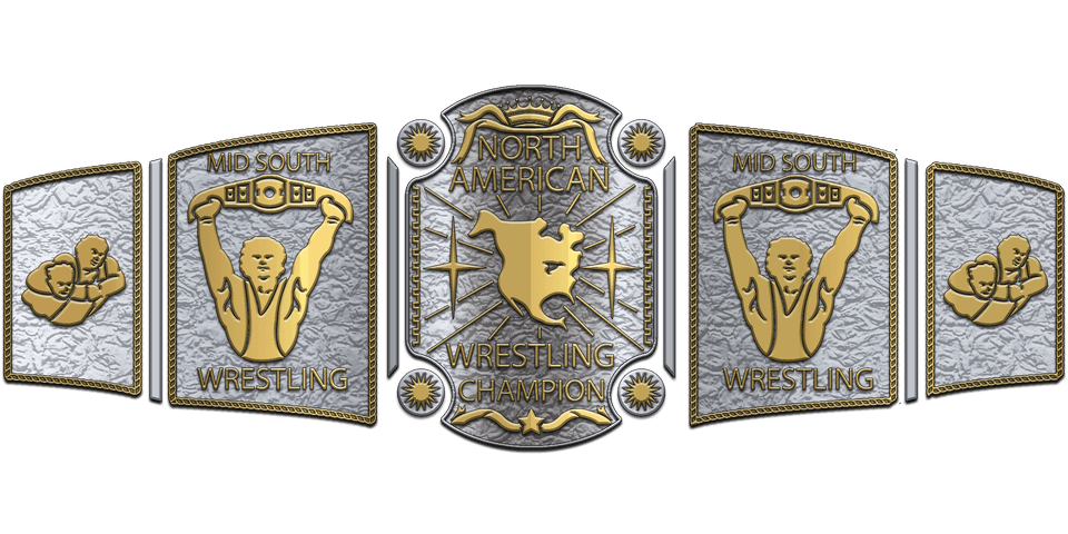 Custom Championship Belt With Personalized Design ZBCB-84