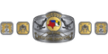 Custom Championship Belt With Personalized Design