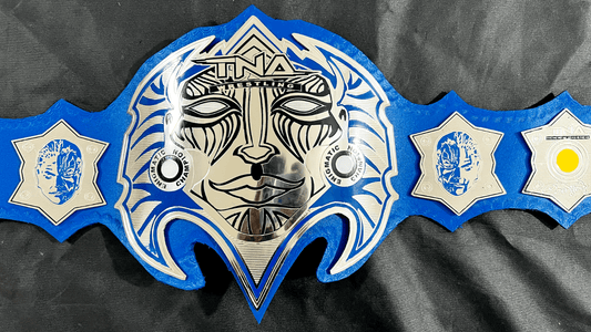 Jeff Hardy TNA Heavyweight Wrestling Championship Title Belt